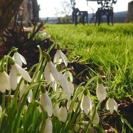 Dom wakacyjny Kirkdale *