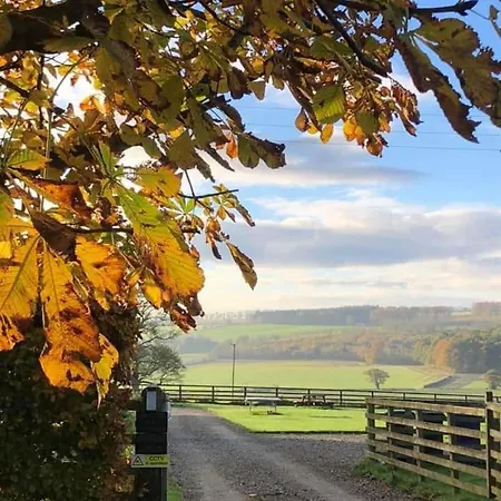 Kirkdale Dom wakacyjny Helmsley