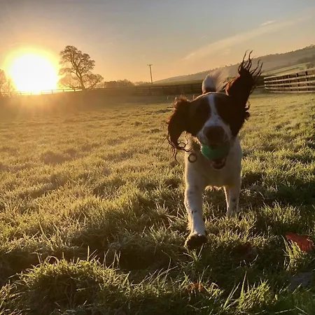 Kirkdale Casa de Férias *