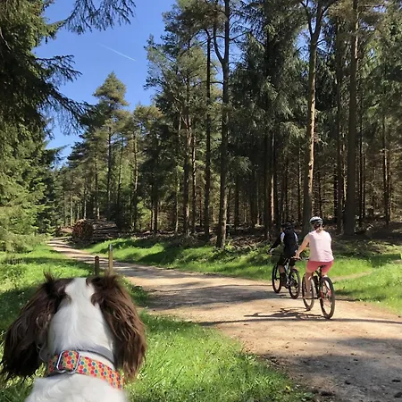 Kirkdale Dom wakacyjny