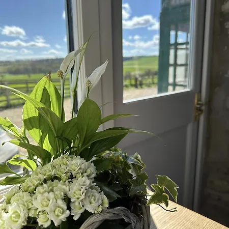 Kirkdale בית נופש הלמסלי