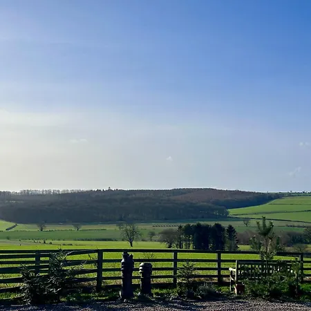 Kirkdale * הלמסלי