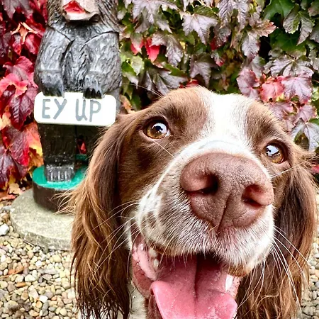 Kirkdale בית נופש *