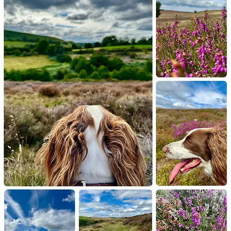 בית נופש Kirkdale *